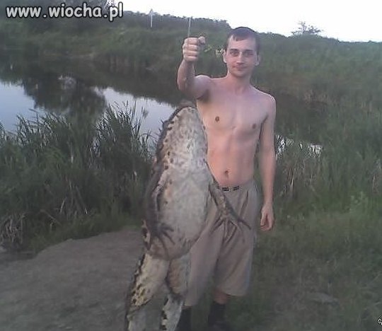 Takie żaby tylko w rosjii