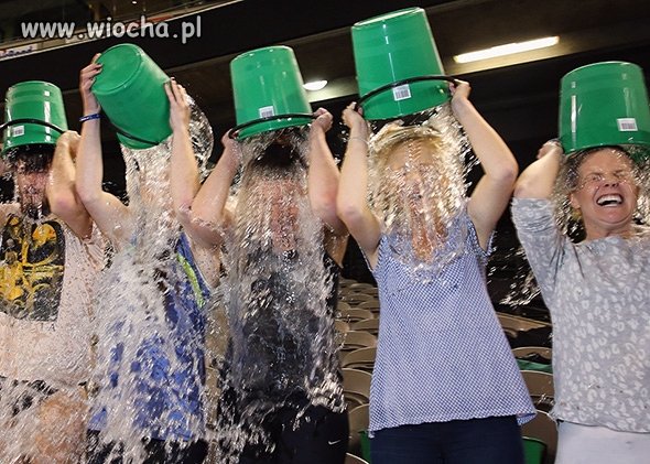 Ice bucket challenge