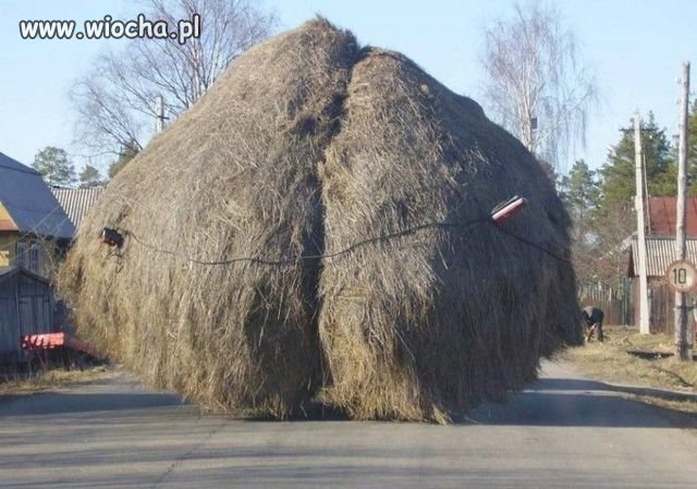 Ale kierunkowskazy są