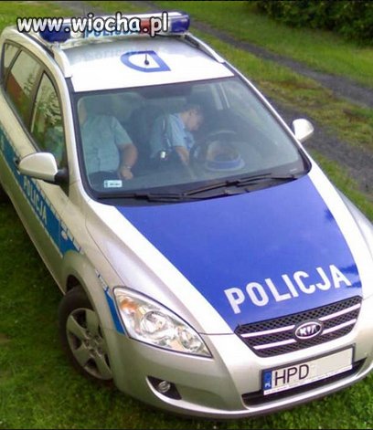 Jakbym miał takiego psa w domu