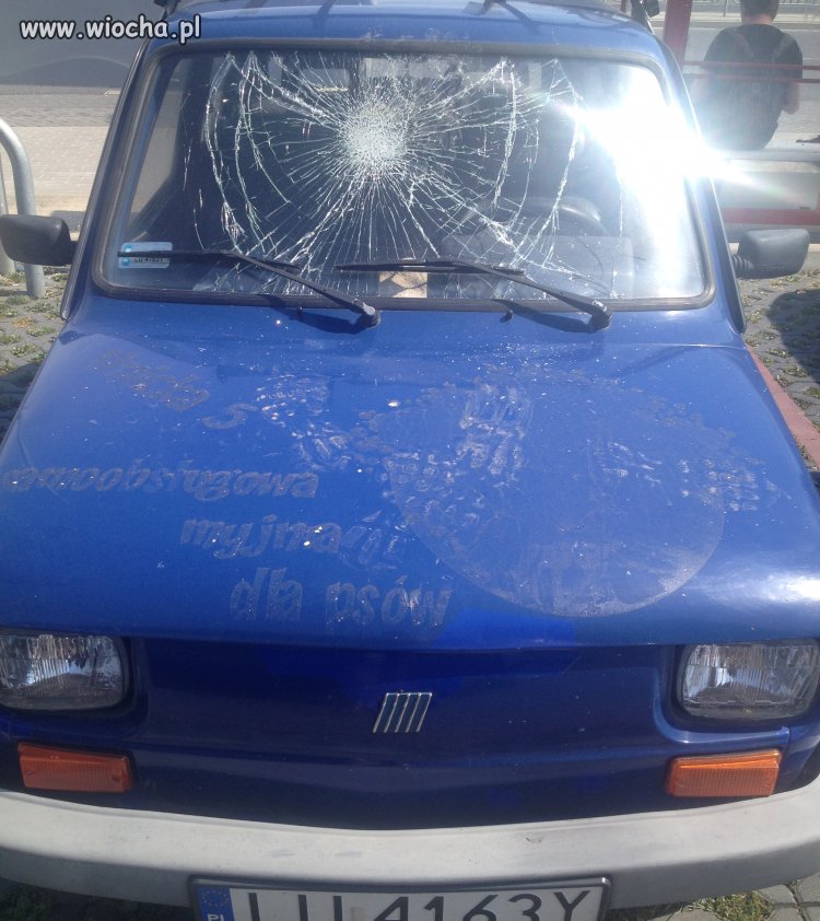 Z pozdrowieniami dla wandali 