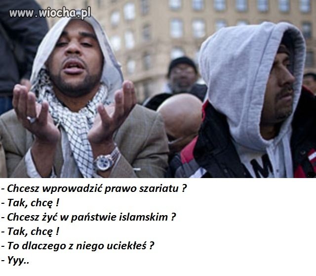 Taka prawda o ciapatych