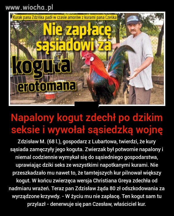 Napalony Kurak 