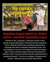 Napalony Kurak 