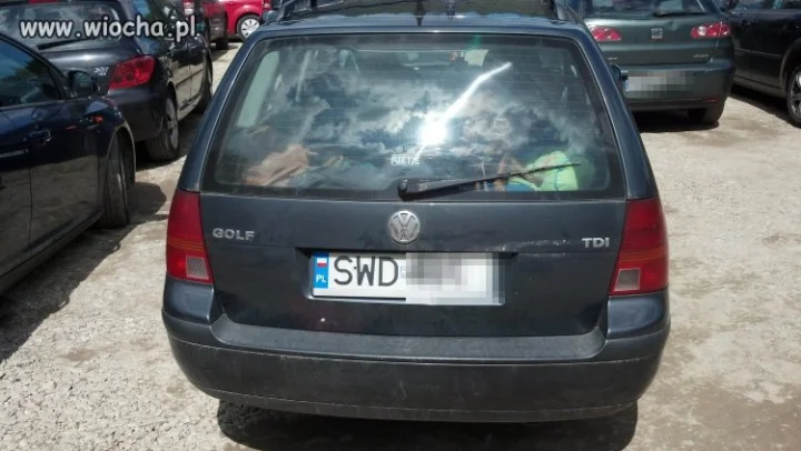 "Dobry pan "