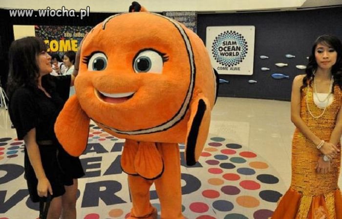 Chyba dziwny ten Nemo ?