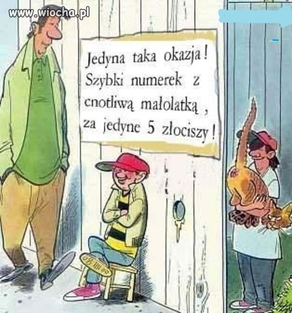 Dzisiaj promocja