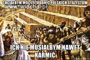 STAŻYSTA JAK NIEWOLNIK