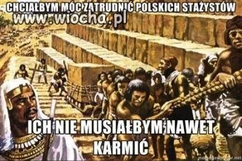 STAŻYSTA JAK NIEWOLNIK