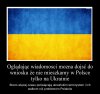 Oglądając wiadomości można dojść do wniosku, że...