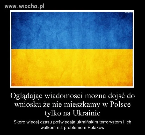 Oglądając wiadomości można dojść do wniosku, że...