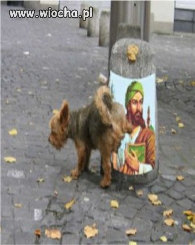 Dobra psina