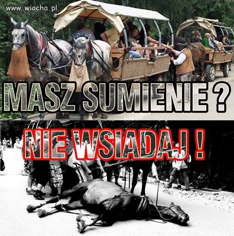 Masz sumienie? Nie wsiadaj!