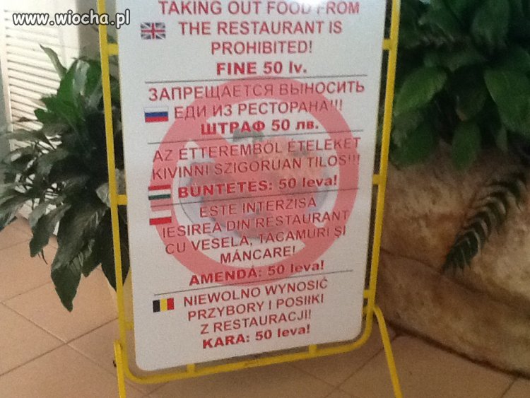 Polski według Bułgarów