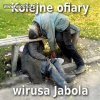 My też mamy wirusa