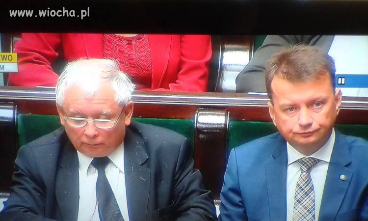 łupież łupież i nic