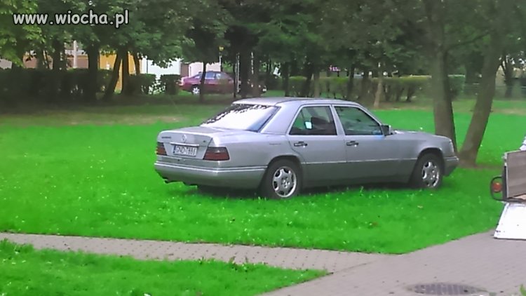 Parkowanie wieśniaka w Elblągu 