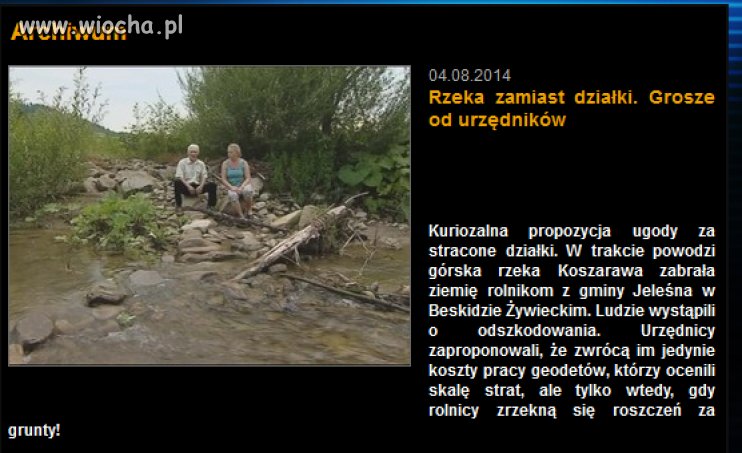 Urzędnicy psia mać