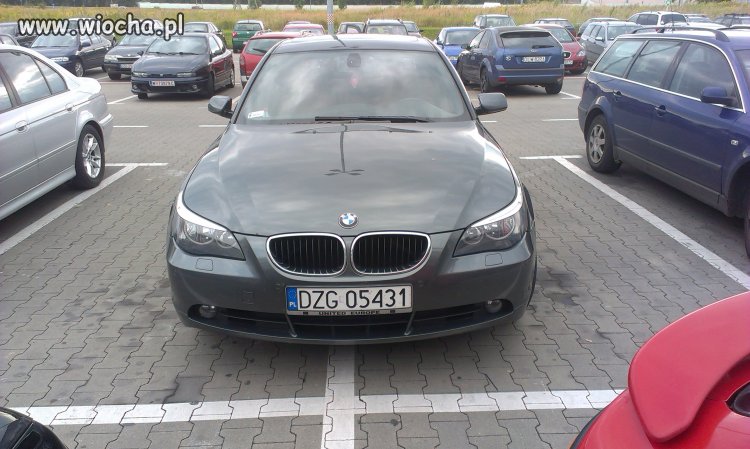 Mistrz parkowania Castorama Zgorzelec