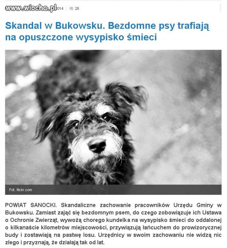  Urzędnicy w swoim zachowaniu nie widzą nic złego