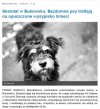  Urzędnicy w swoim zachowaniu nie widzą nic złego