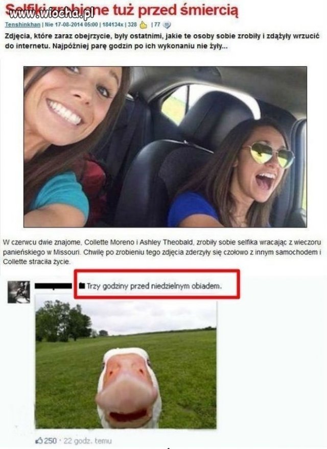 Ostatnie selfiki.