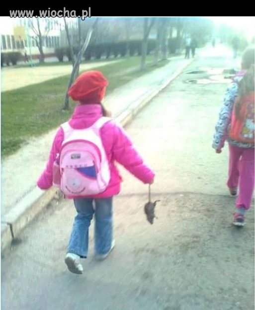 Takie tam ze spacerku