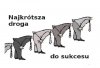 Jak politycy dochodzą do władzy...