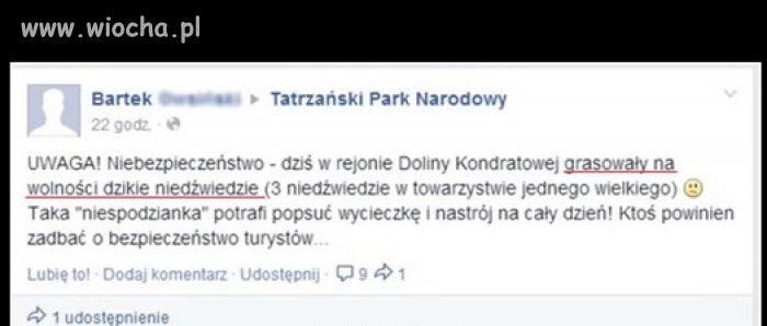 Upierdliwy turysta
