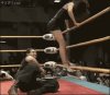 Wrestling koedukacyjny