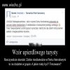 Dzikie niedźwiedzie 