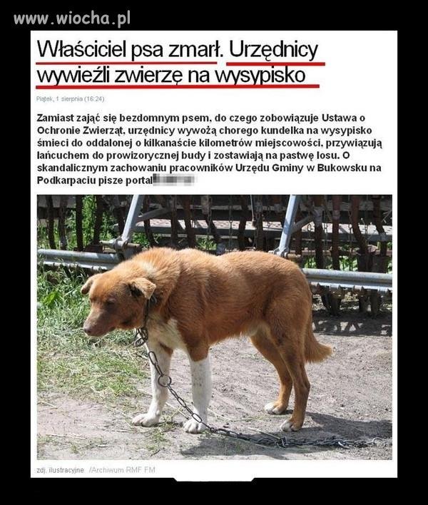 SKANDAL!!