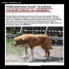 SKANDAL!!