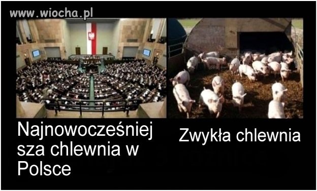 ROZWÓJ