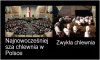 ROZWÓJ