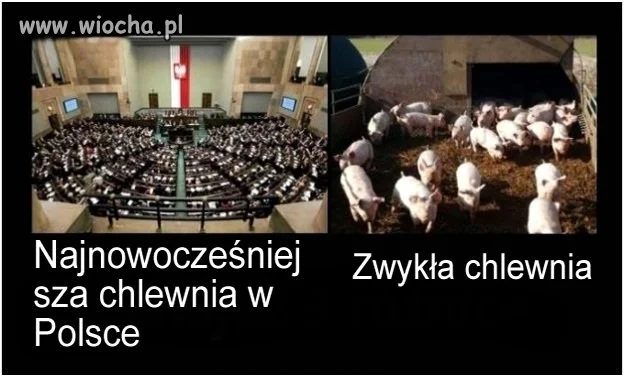 ROZWÓJ