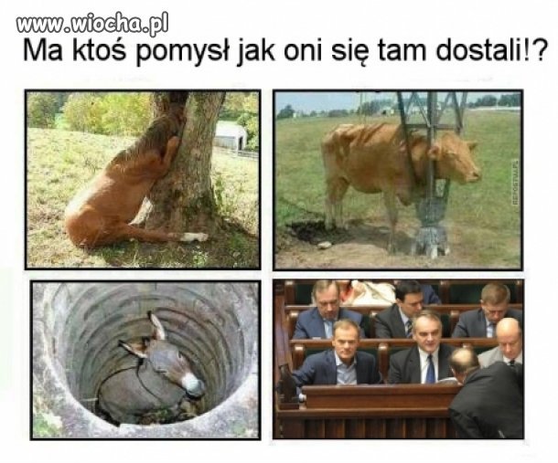 Zna ktoś odpowiedź?