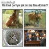 Zna ktoś odpowiedź?