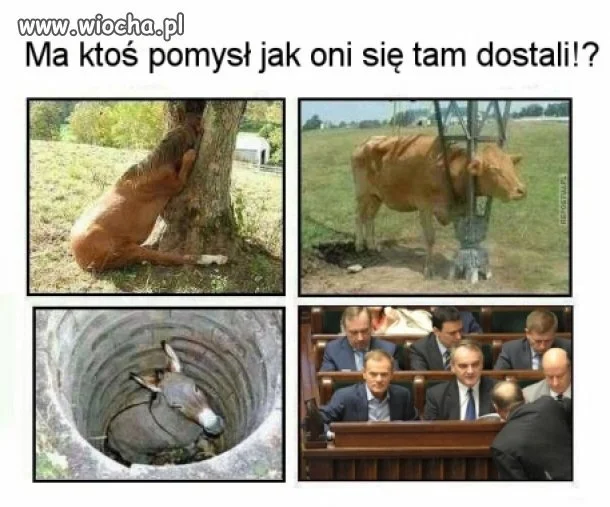 Zna ktoś odpowiedź?
