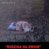 Nowy rządowy program