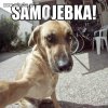 Czo ten Pieseł