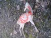 Bambi