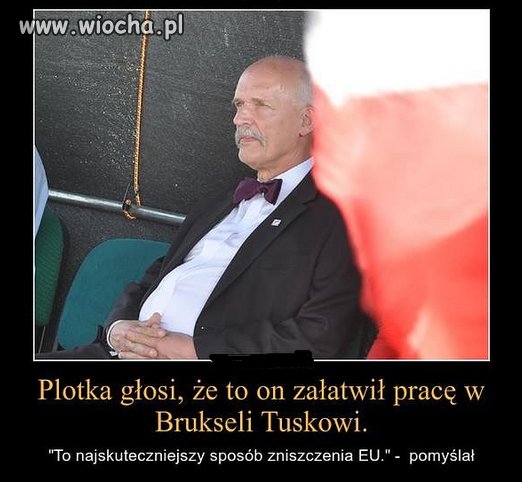 P.Korwin w tym przypadku