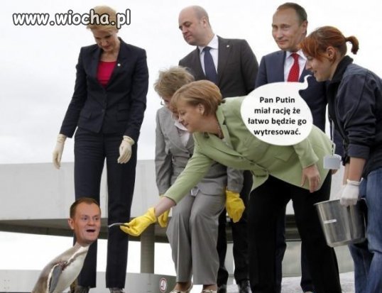 Tusk