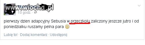 Domowe PRZECZKOLE...