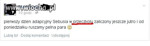 Domowe PRZECZKOLE...