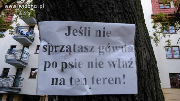 Strzeżcie się