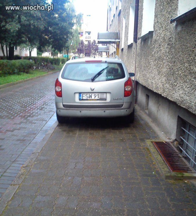 Mistrz parkowania