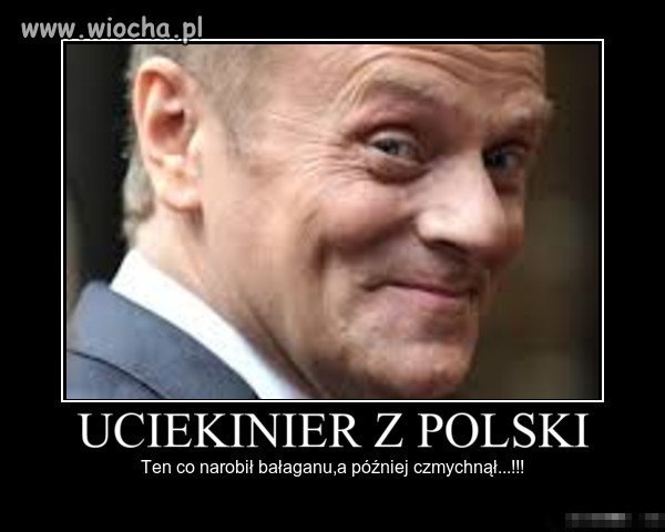 Czysta prawda...