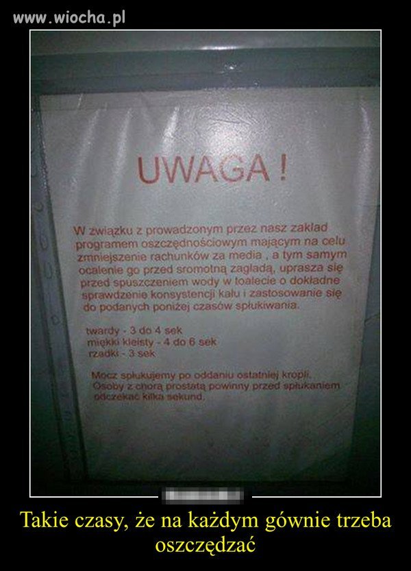 Prostata